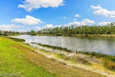 Lake view