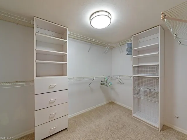 Walk in closet with light colored carpet