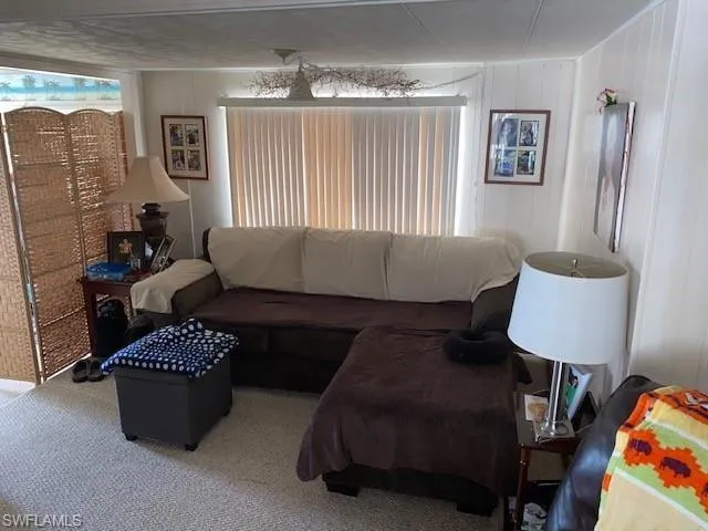 Living area with carpet