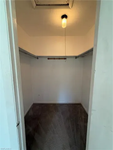 Spacious closet with carpet