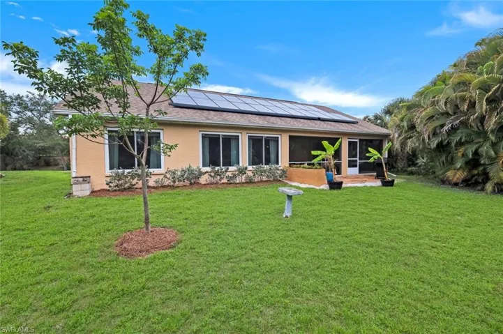 HUGE backyard features a patio and fruit trees.