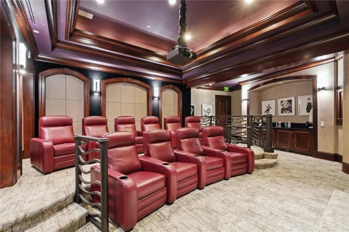 Cinema room featuring light colored carpet, a tray ceiling, and ornamental molding