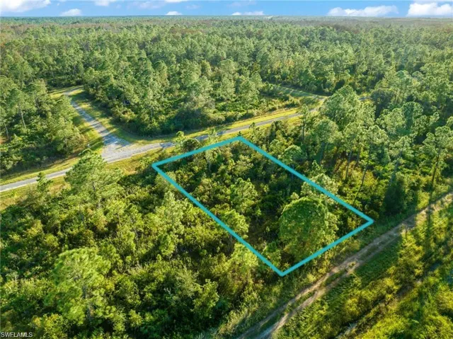 View of property location with property parcel outlined and a forest