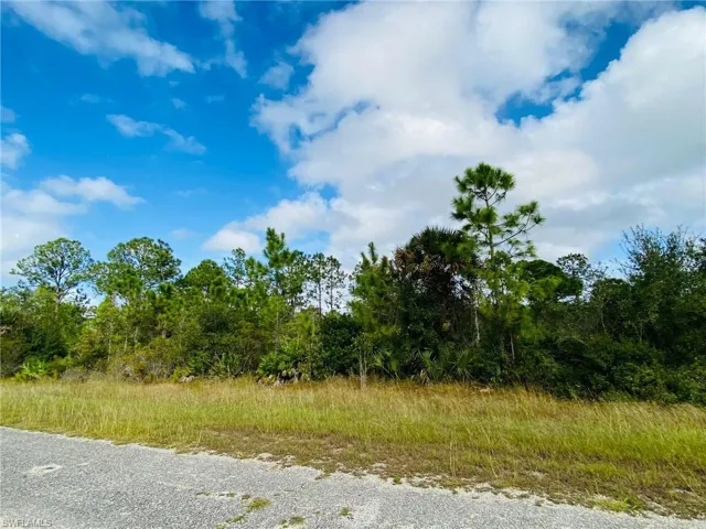 View of local wilderness