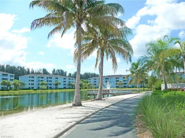 Walk / Jog path