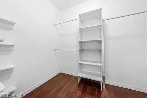 Spacious closet featuring dark wood-type flooring