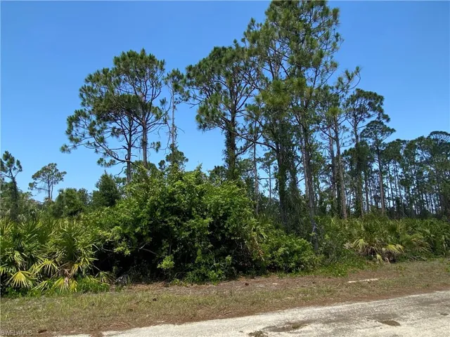 View of nature