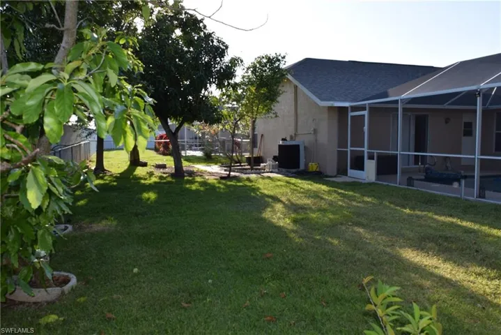 Backyard with fruiting mango tree