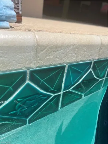 Dolphin pool tiles