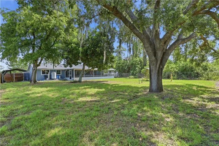 mature shade trees