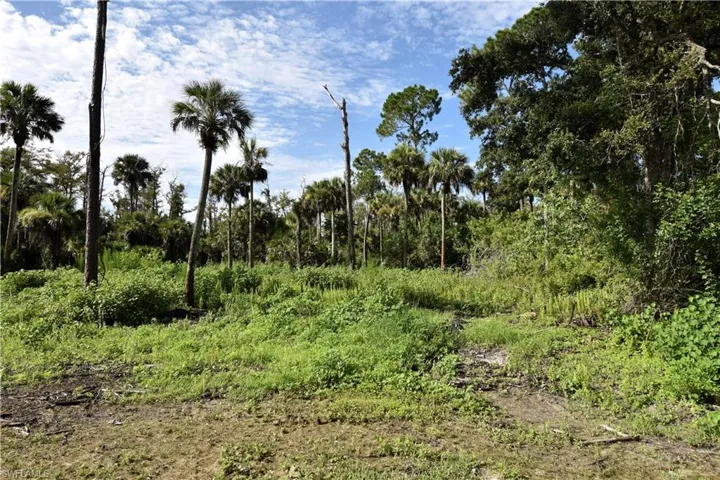 2622  20th NE AVE, Naples, FL 34120