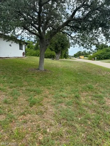 View of side yard