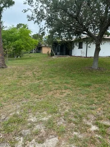 View of back yard