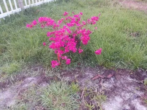 16960 Wildcat Dr, Fort Myers, Florida 33913