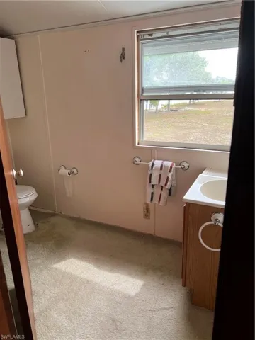 Bathroom with vanity and light carpet