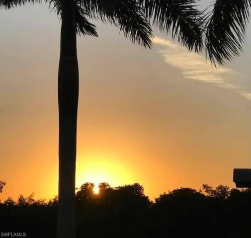 View of nature at dusk