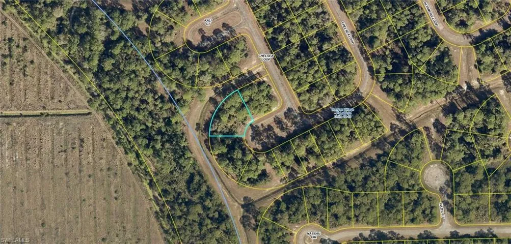 431  Chelsea  LOOP, Labelle, FL 33935