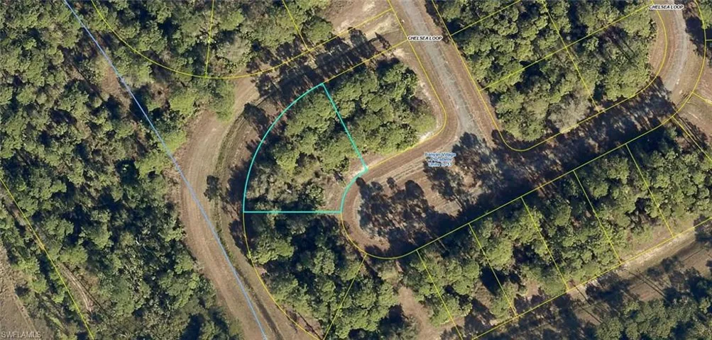 431  Chelsea  LOOP, Labelle, FL 33935