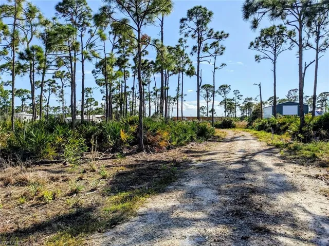 Gravel road already paved to clearing.