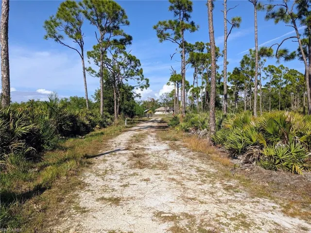 Enter your dream homestead land