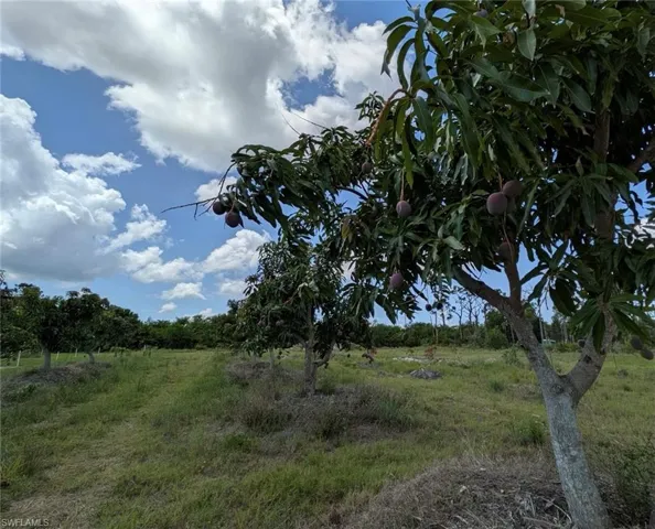 4159 Sunshine Blvd, St. James City, Florida 33956
