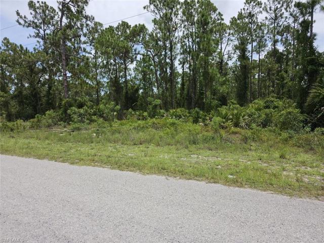 LOT TREE LINE