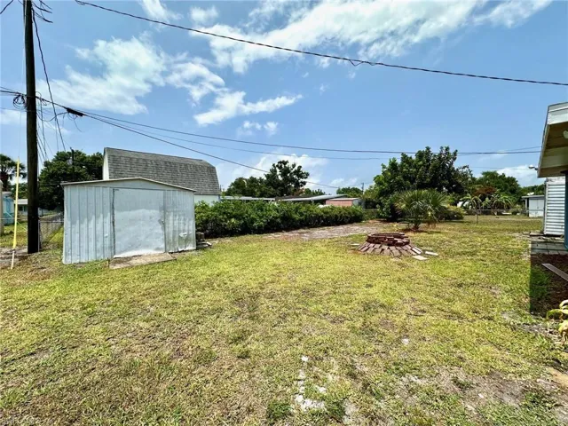Back yard