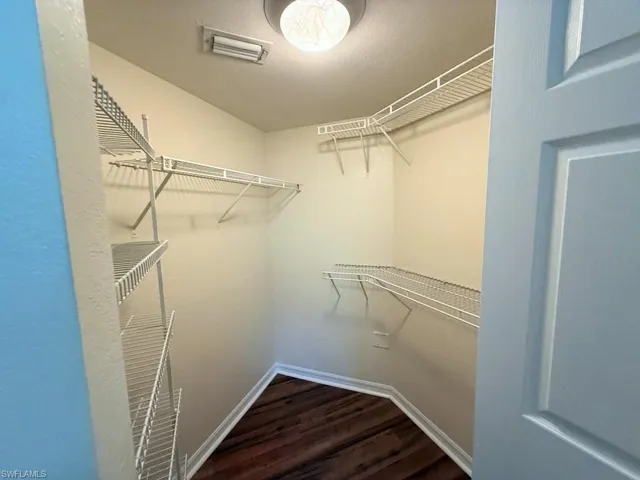 Spacious closet featuring dark wood finished floors