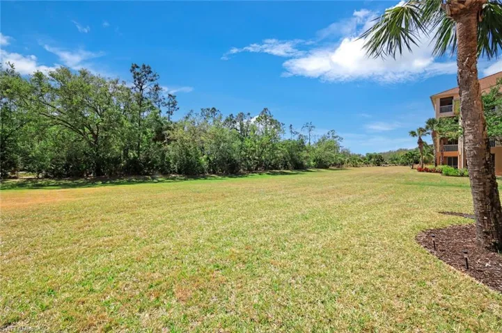 View of grassy yard with view of scattered trees