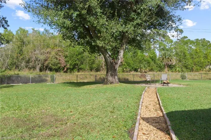 Sitting Area Under Big Tree