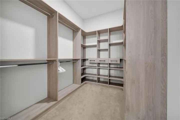 Walk in closet with light colored carpet
