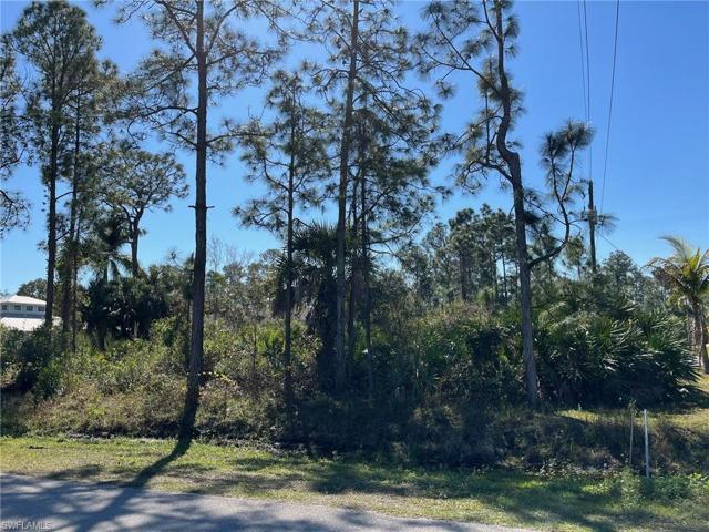 41st AVE NE, NAPLES FL 34120