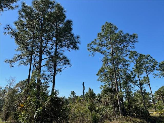 41st AVE NE, NAPLES FL 34120