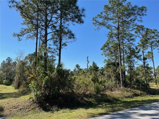 41st AVE NE, NAPLES FL 34120