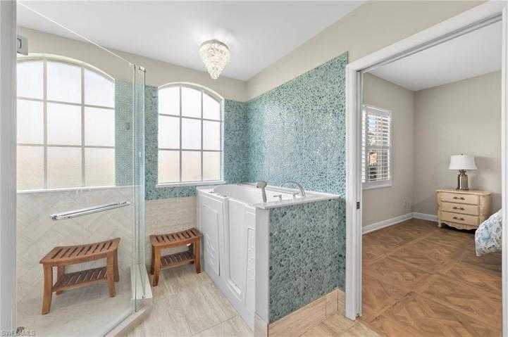 Walk in Tub, Walk in Shower.  Easy for all!
