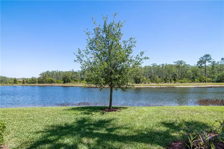 9584 Trevi Ct # 5218, Naples Fl 34113