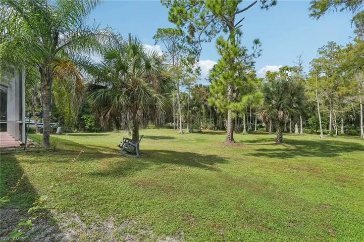 View of green lawn