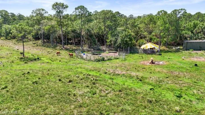 View of yard with a wooded view
