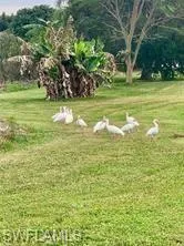 View of property's community featuring a lawn