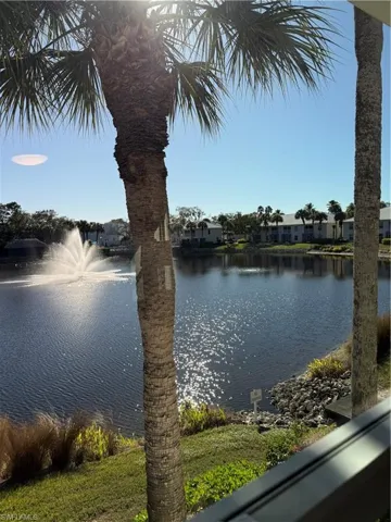 Views from Back of the condo!