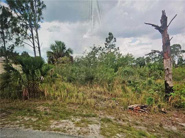 View of road