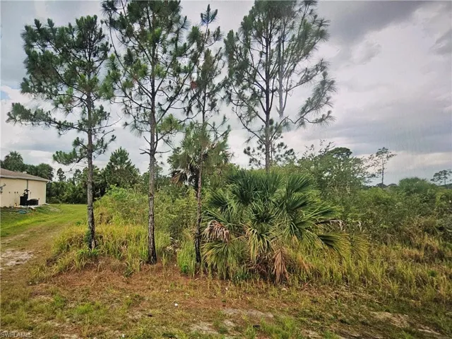 View of nature