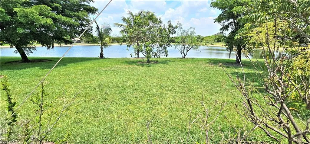 Backyard with fruit trees