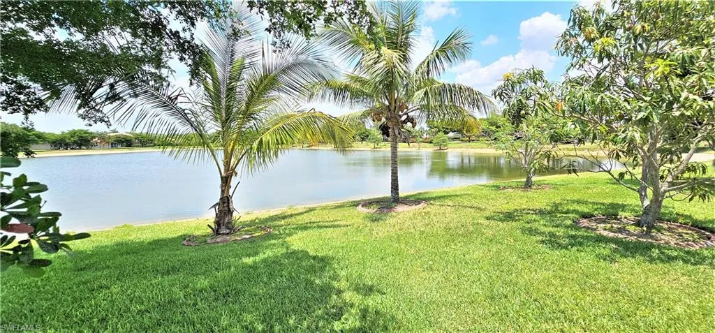 Backyard with fruit trees