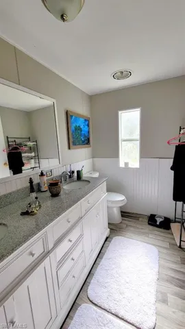 Bathroom with vanity, toilet, and hardwood / wood-style floors