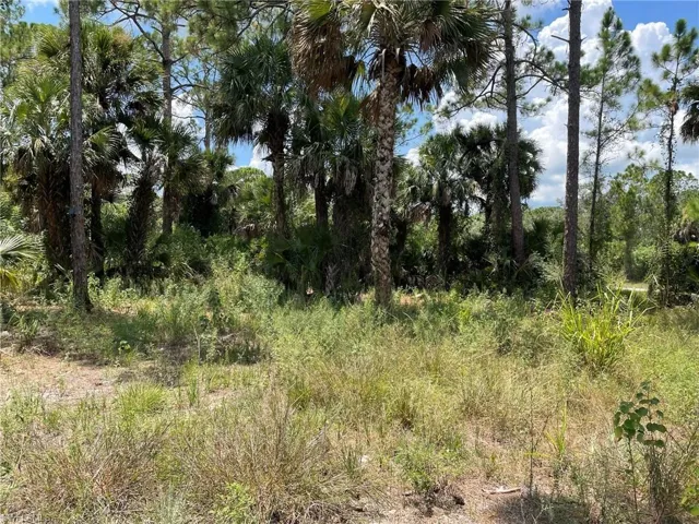 408  Valleybrook  DR, Labelle, FL 33935