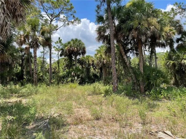 408  Valleybrook  DR, Labelle, FL 33935