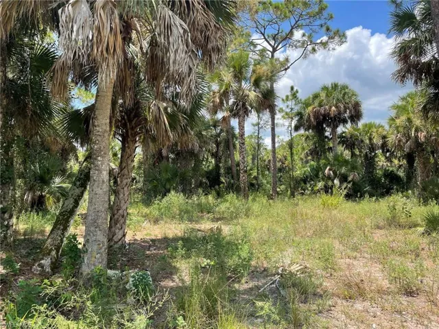 408  Valleybrook  DR, Labelle, FL 33935