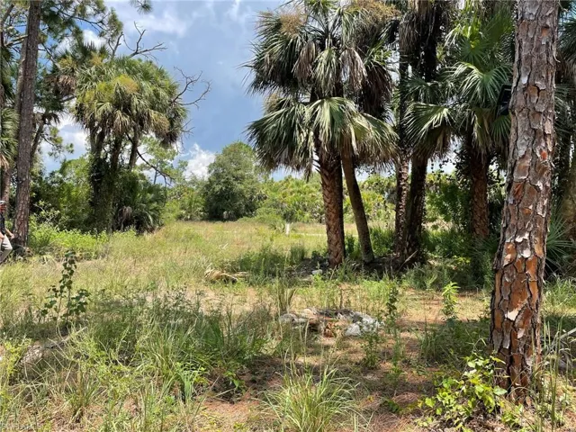 408  Valleybrook  DR, Labelle, FL 33935