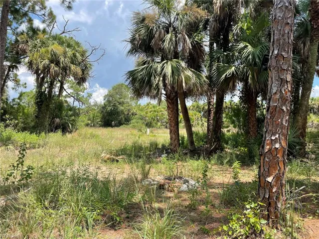 408  Valleybrook  DR, Labelle, FL 33935